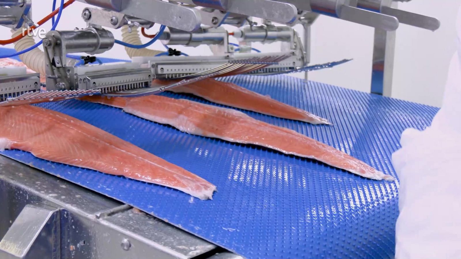 Aquí la Tierra - 19/12/22 - ver ahora