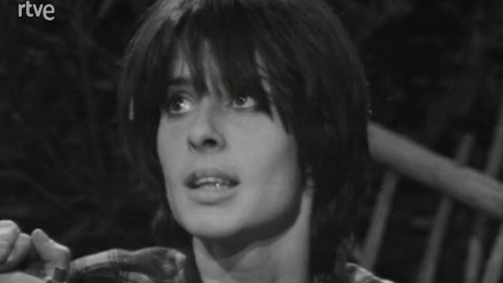 Arxiu TVE Catalunya - Terra d'escudella - Història de l'ovella