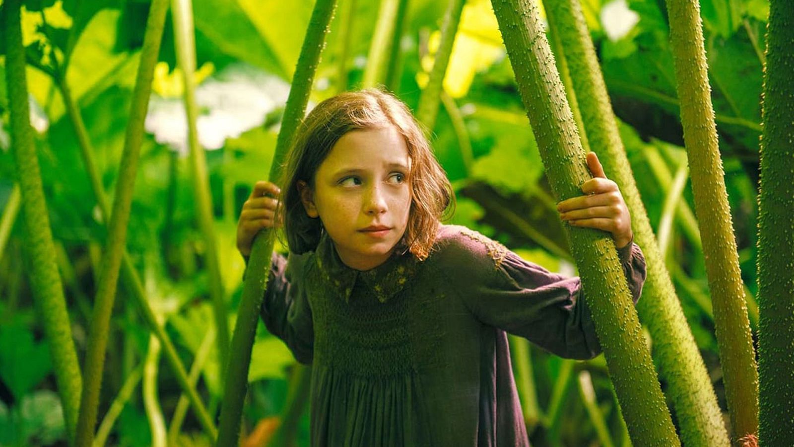 Cine - El jardín secreto - Ver ahora