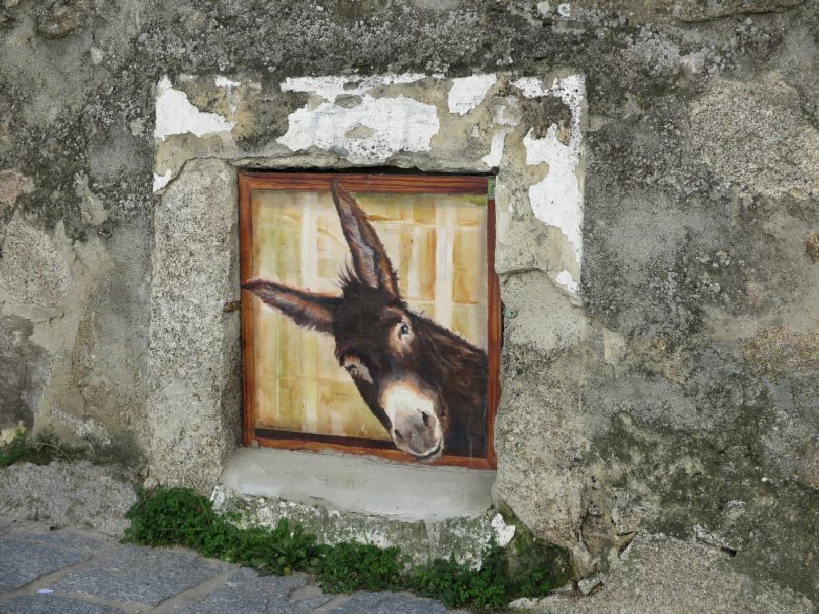 Artistas que trabajan en el mundo rural