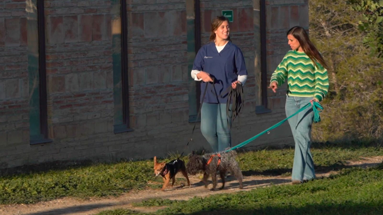 Qué animal - Entrevista a Cristina González, veterinaria especialista en etología