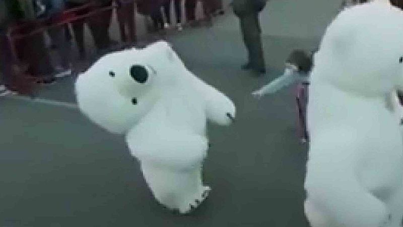 Recogen firmas para que vuelva el "oso perjudicado" a la cabalgata de Cádiz | Ver