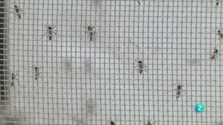 Telecanarias - Telecanarias 2 - 21/12/2022