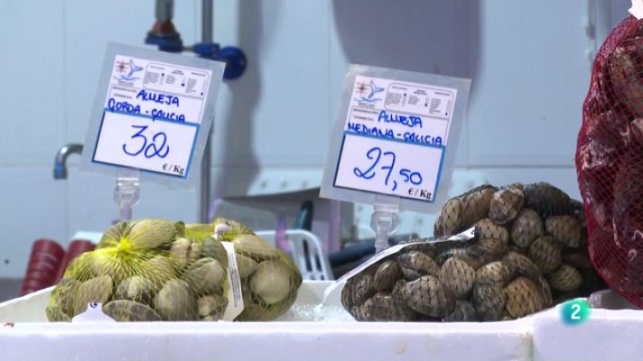 Telecanarias - Telecanarias 2 - 23/12/2022