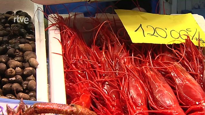 Informativo 24h - Noticias 24 horas - 14h - 24/12/22