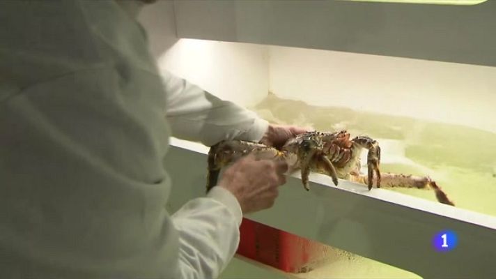 L'Informatiu - Els menús de Nadal més cars del segle