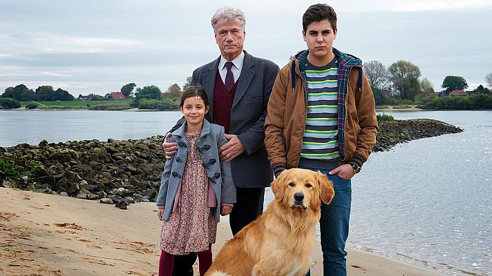 Cine internacional - Los hijos de mi hija