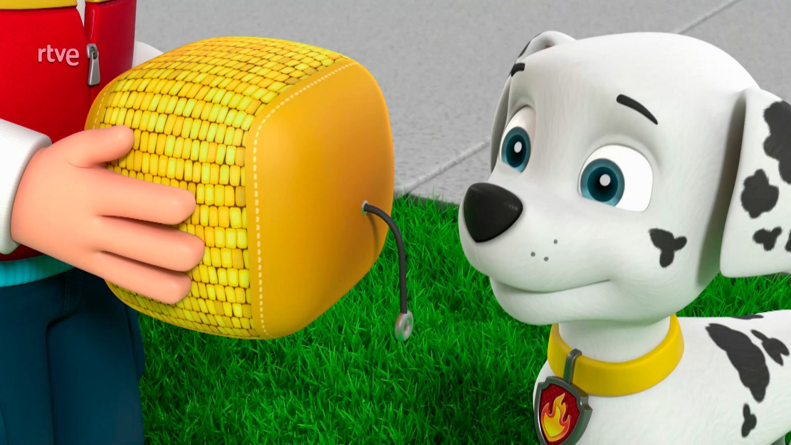 La patrulla salva a un gallo a la fuga - La patrulla canina | Ver