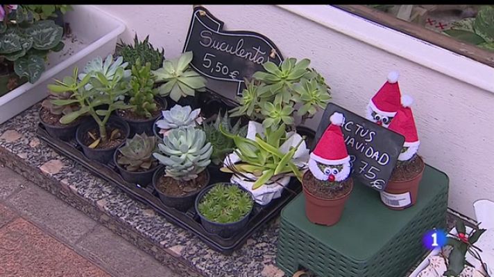 Panorama Regional - Panorama Regional 2 - 28/08/22