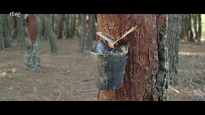 Red Natura 2000 - Programa 2