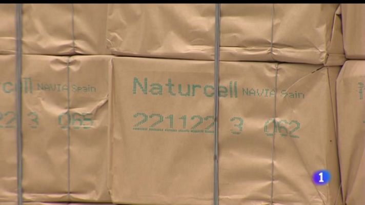 Panorama Regional - Panorama Regional - 02/01/23