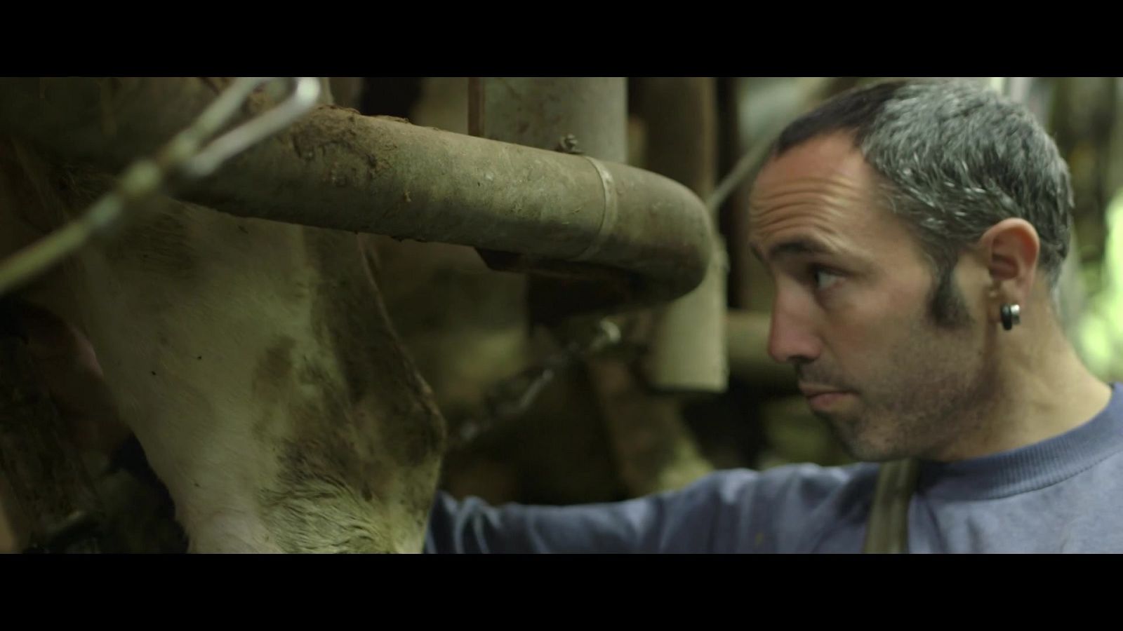 Red Natura 2000 - Programa 4 - ver ahora