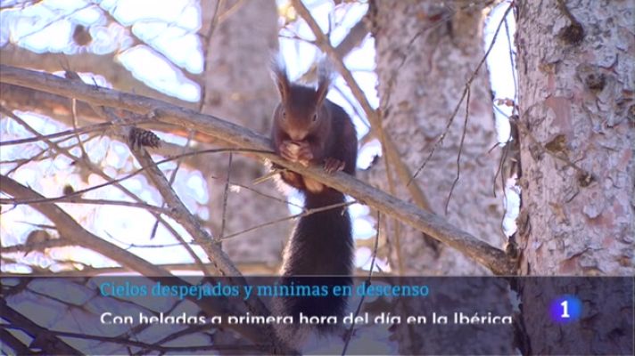 Informativo Telerioja - Informativo Telerioja  - 03/01/23