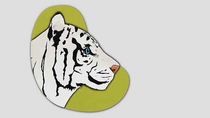 Noticias Andalucía - Seprona busca a un felino en Los Barrios