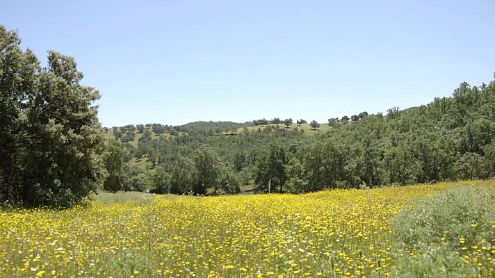 Red Natura 2000 - Programa 5