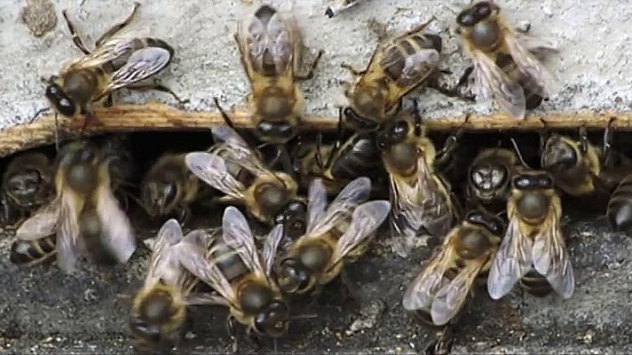 Red Natura 2000 - Programa 6