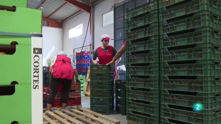 Telecanarias - Telecanarias 2 - 03/01/2023