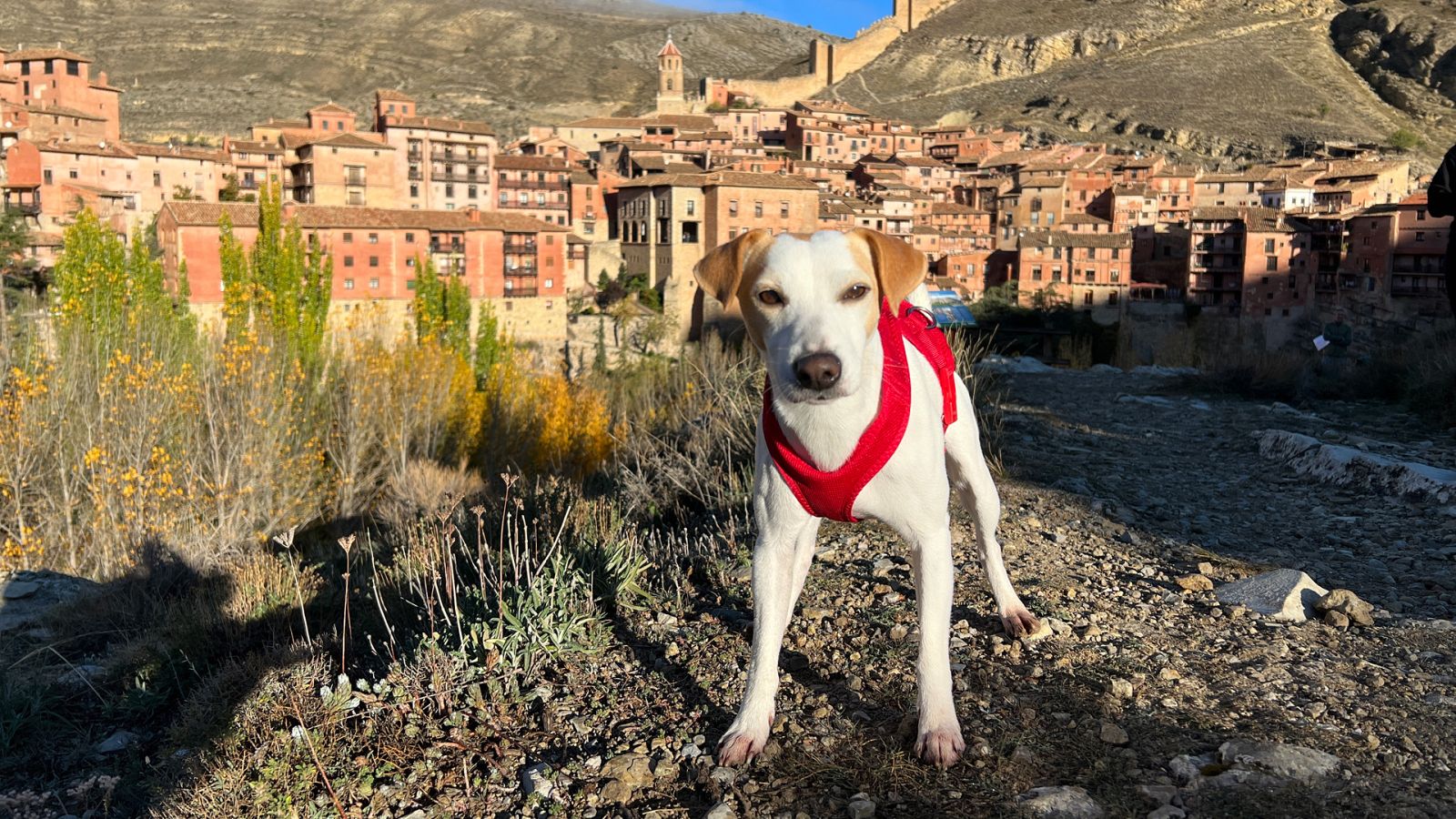 Pipper en ruta - Teruel - Ver ahora