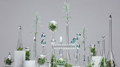 El interés por la ciencia ha aumentado en la última década, pero ¿ha aumentado también el conocimiento?