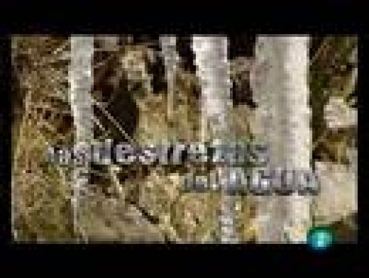 Espacios naturales - Las destrezas del agua
