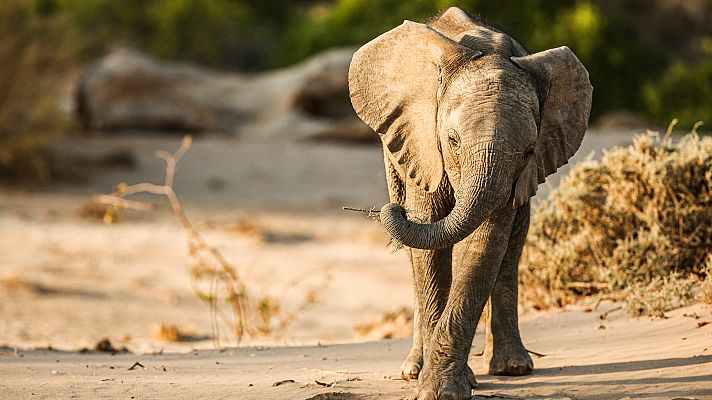 Edén, paraísos remotos - Namibia: El desierto del Namib