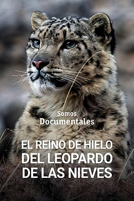 Somos Documentales - El reino del hielo del leopardo de las nieves