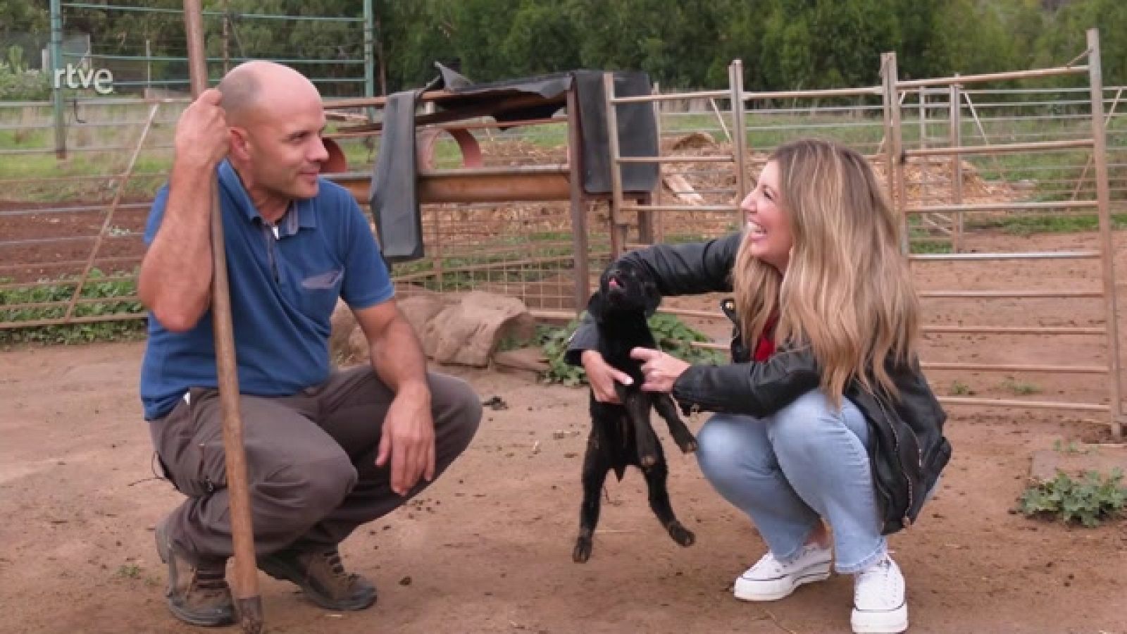 Aquí la Tierra - Así se hacen los quesos mixtos de cabra y oveja