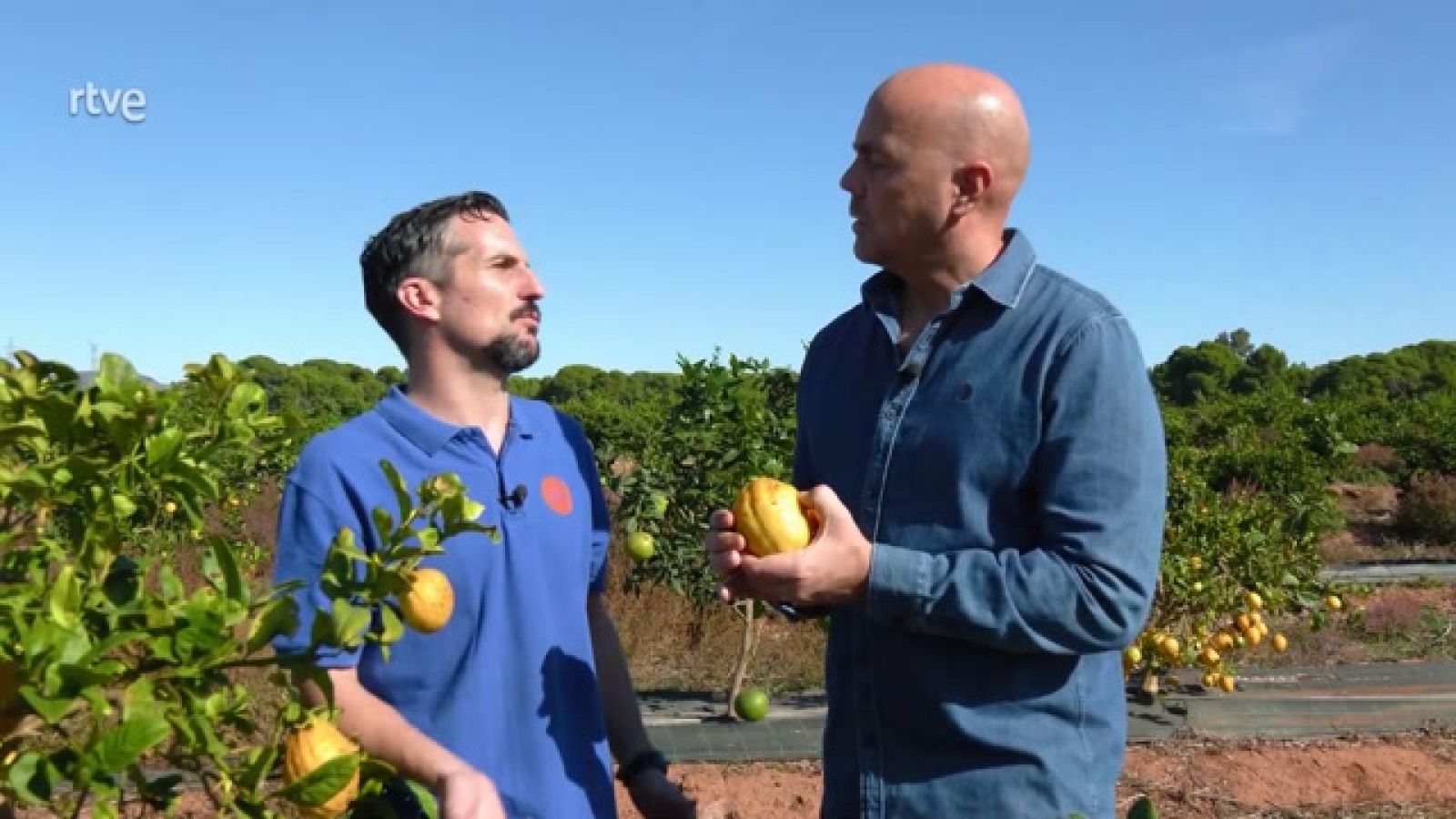 Aquí la Tierra - 11/01/23 - ver ahora