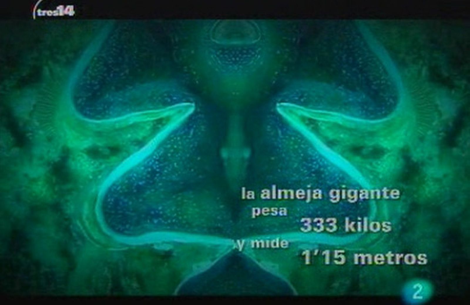 Y además (animales grandes)