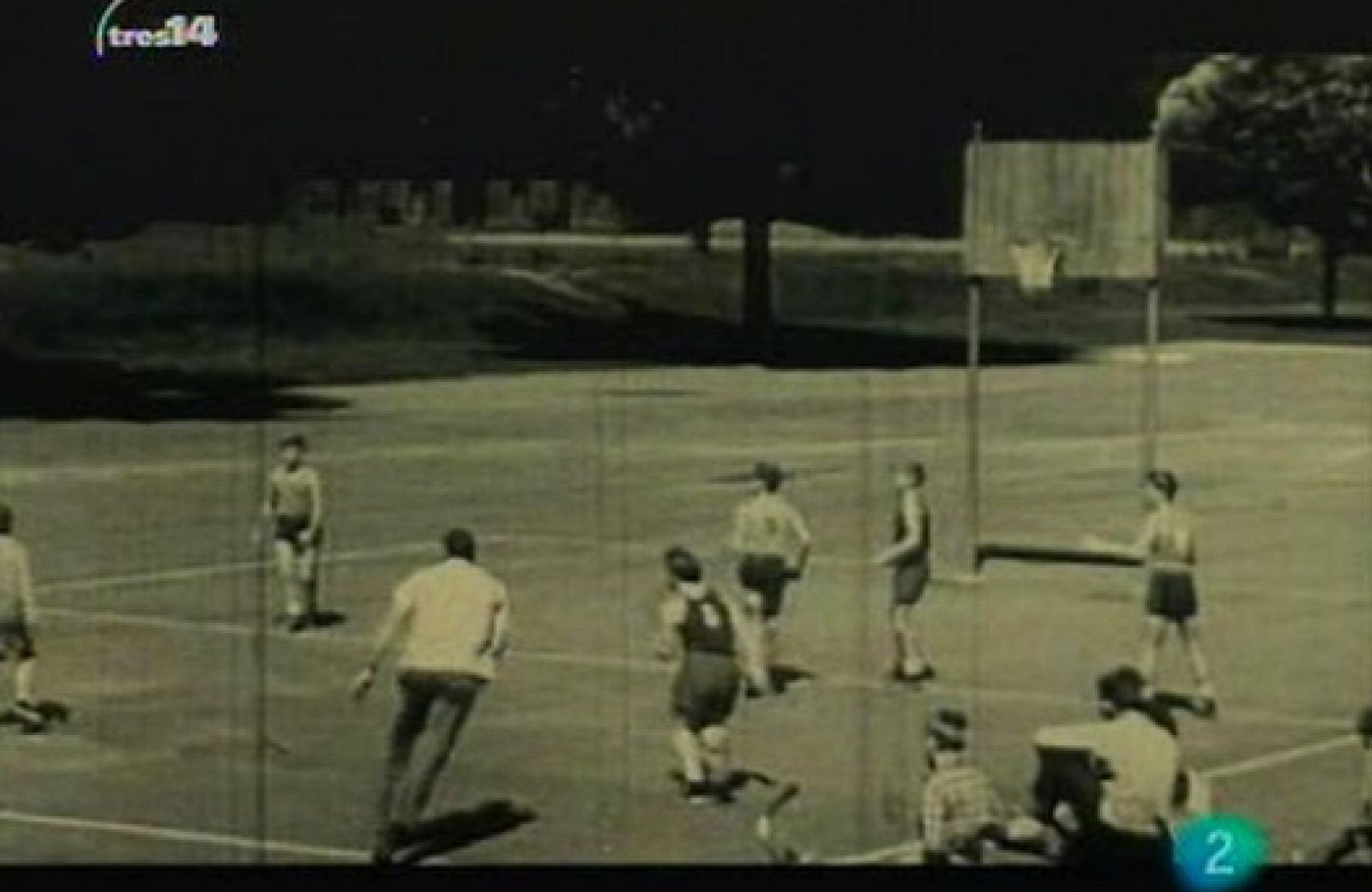 Curiosidades (animales grandes)