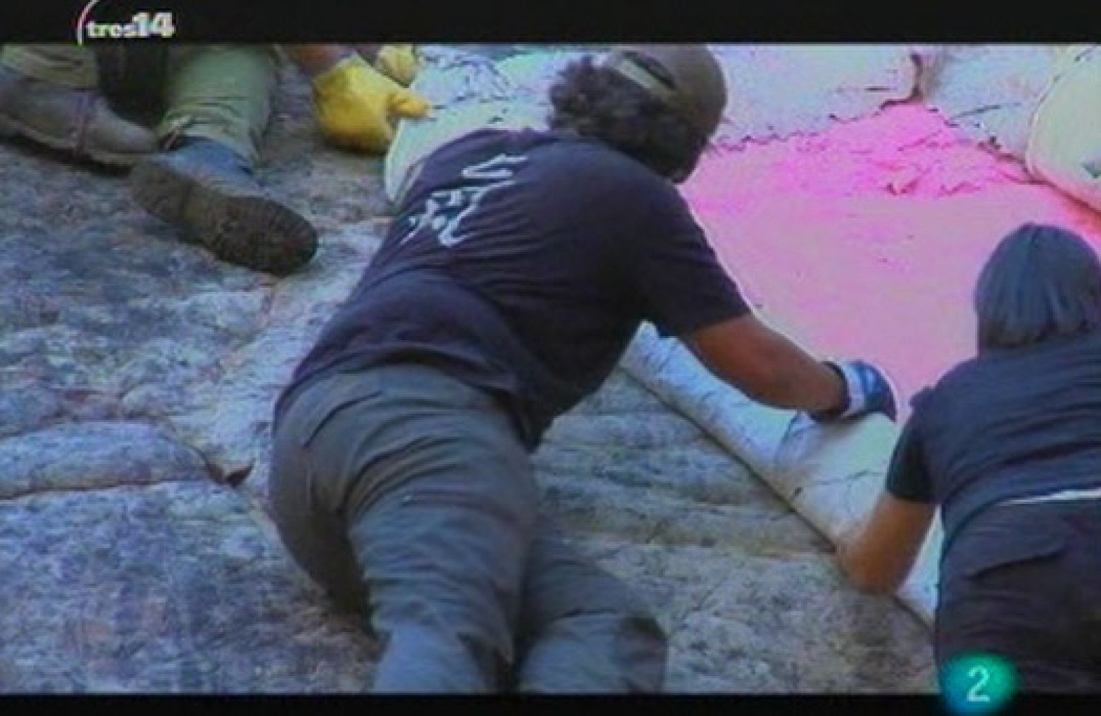 Últimas noticias (animales grandes)