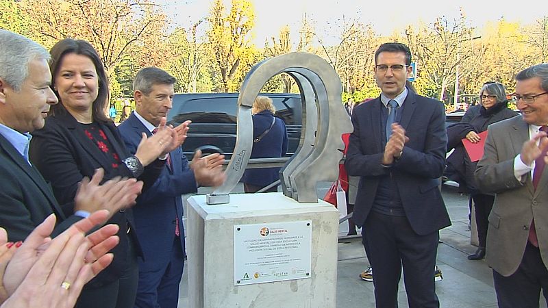 Inclusión social del enfermo mental - Ver ahora