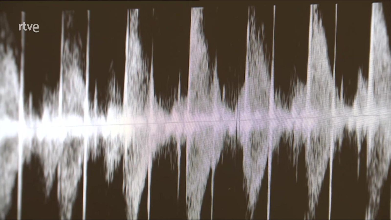 Telediario - 21 horas - 14/01/23 - Lengua de signos - ver ahora