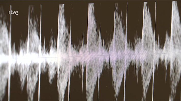 Telediario en lengua de signos - Telediario - 21 horas - 14/01/23 - Lengua de signos