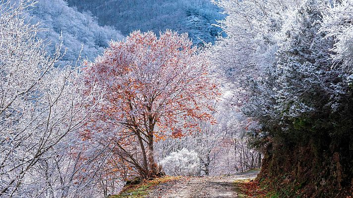Telediario Fin de Semana - Fin de semana frío a la espera de la llegada de la borrasca Fein