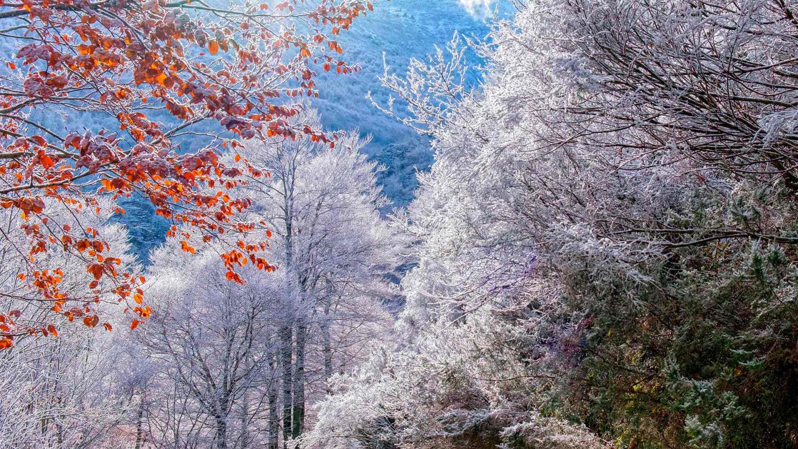 La semana arranca con lluvia en Galicia y Cantabria y nieve en el Pirineo