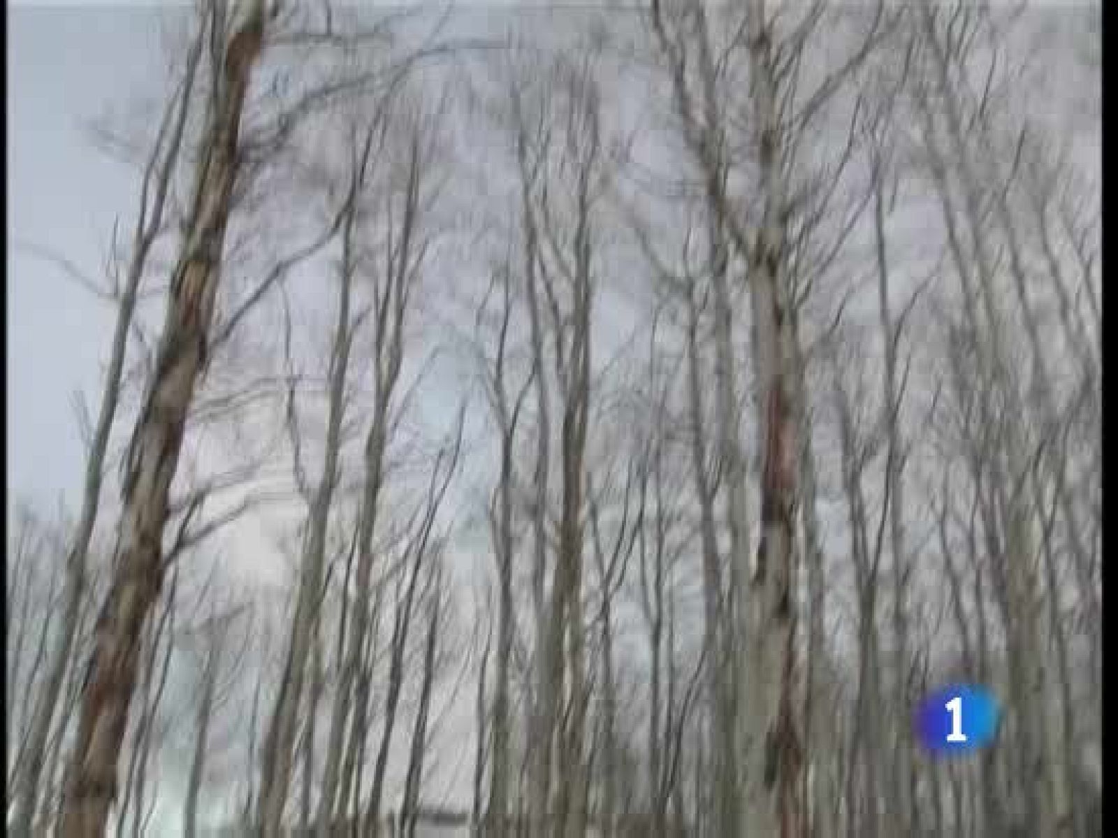 La película española "Buried" desata una verdadera guerra entre las grandes distribuidoras | Ver