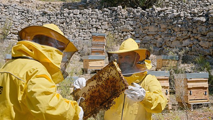 Las Rutas de... - Viaje a la Alcarria