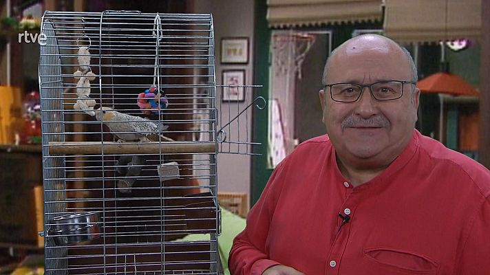 Calidoscopi - Altres mascotes