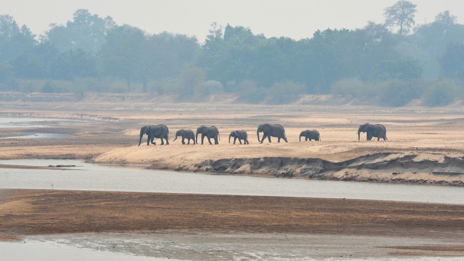 Edén: Paraísos remotos - Episodio 3: Zambia: El valle Esmeralda - Ver ahora