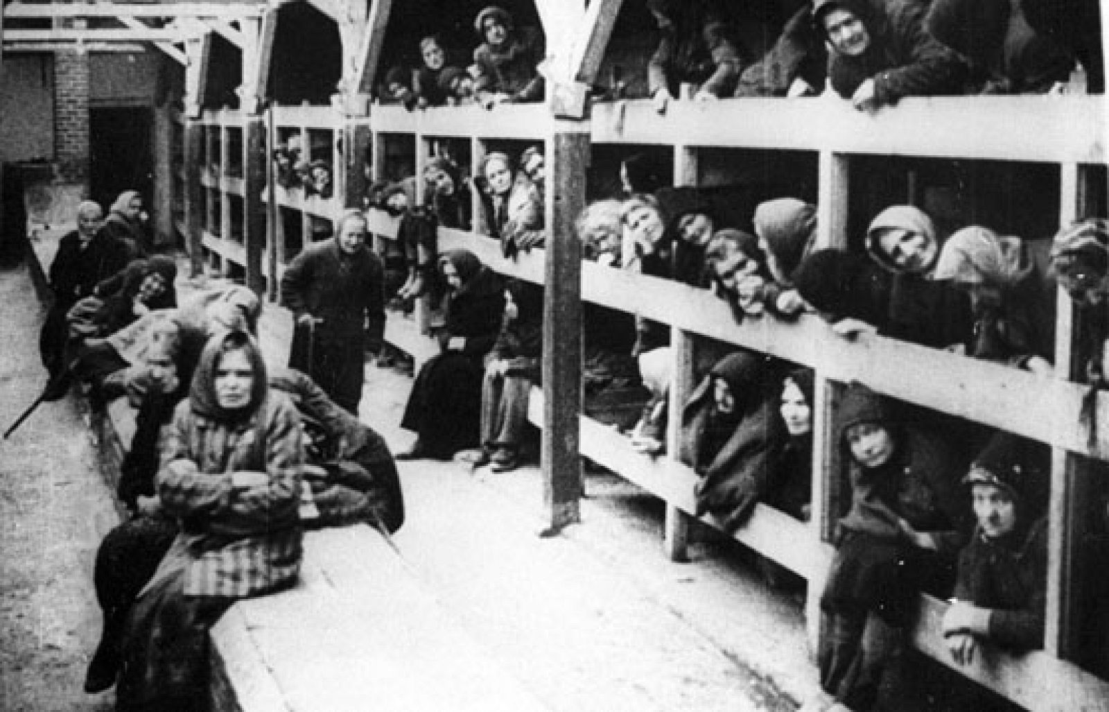 Mañana es el Día Internacional para Honrar la Memoria de las Víctimas del Holocausto | Ver
