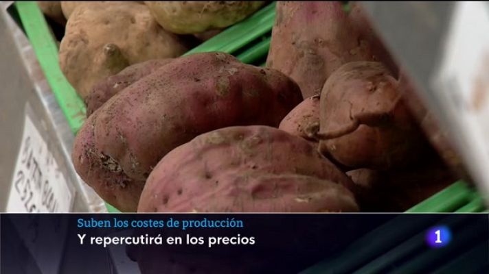 Telecanarias - Telecanarias - 19/01/2023