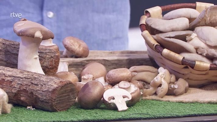 Aquí la Tierra - Cómo identificar las setas