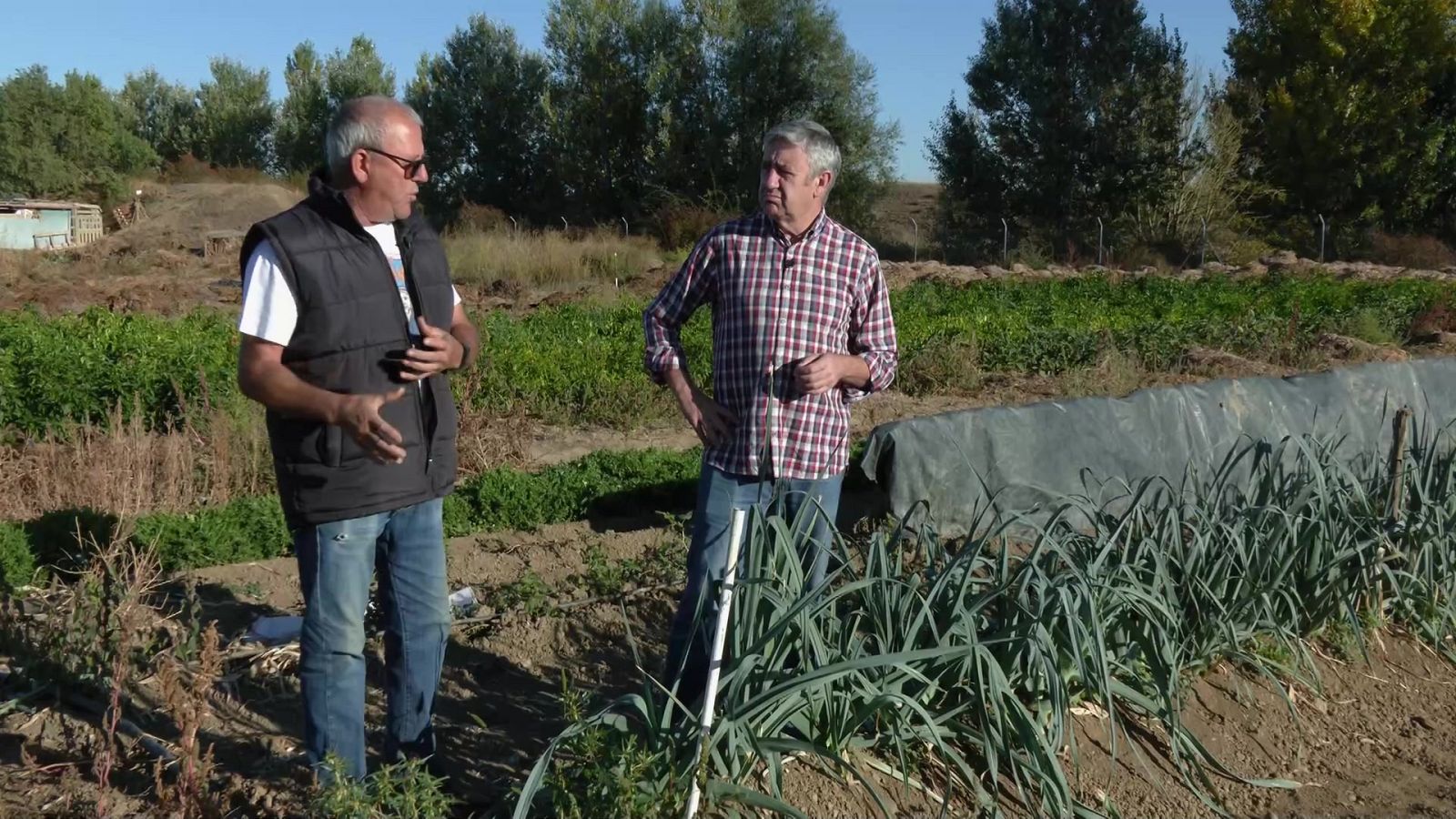 Aquí la Tierra - 19/01/23 - ver ahora