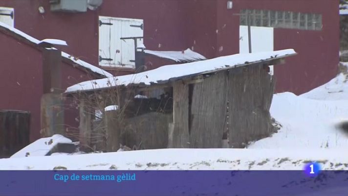 L'Informatiu - Ambient gèlid arreu de Catalunya