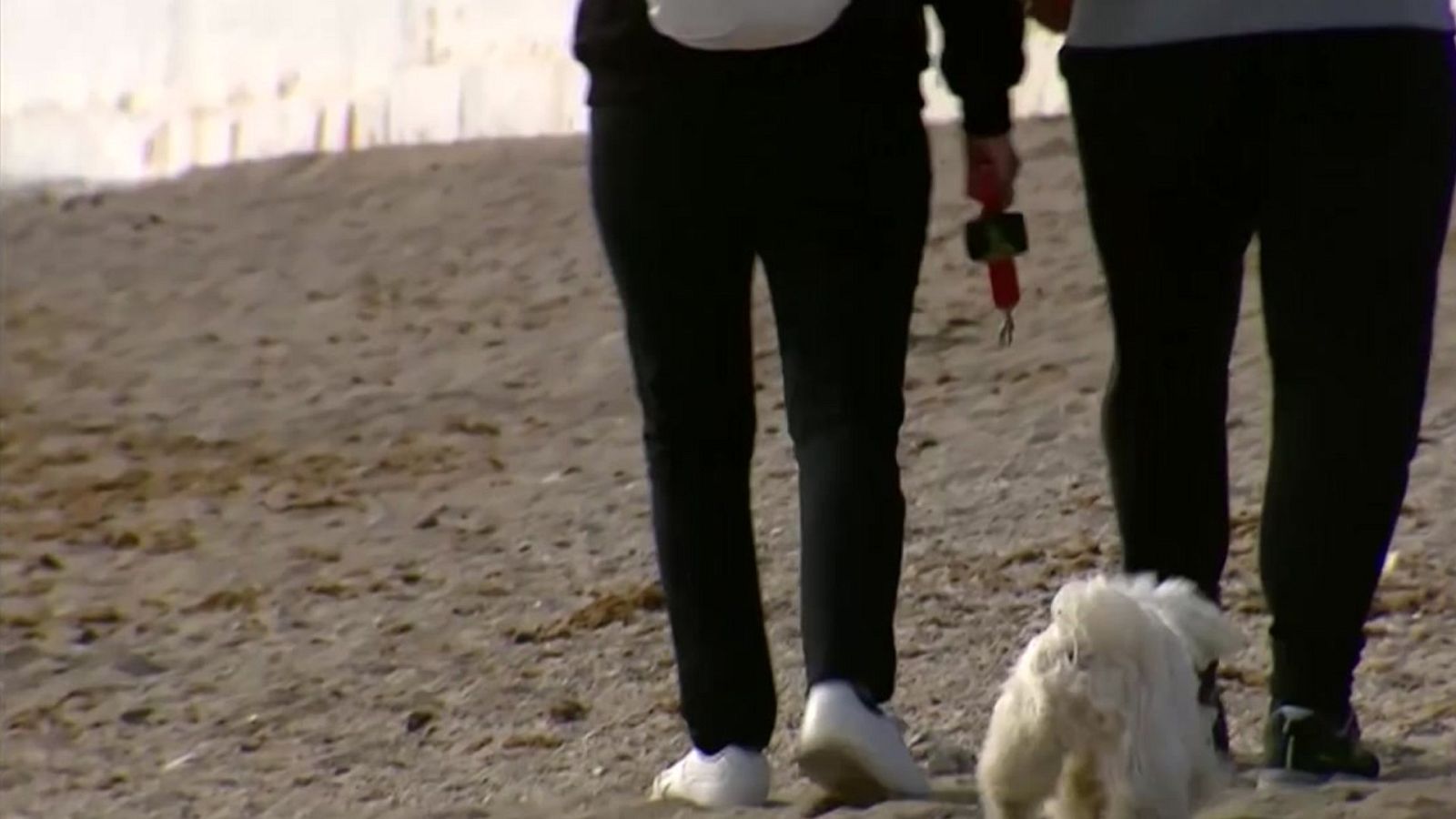 Crecen los alojamientos 'pet friendly' - RTVE.es | Ver