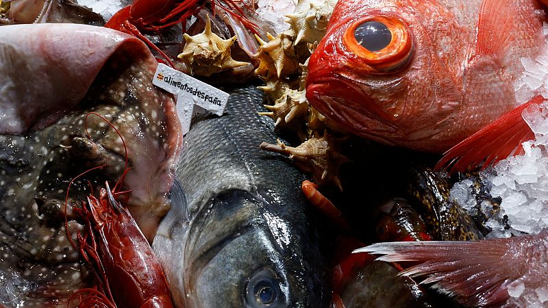 'Madrid Fusión' muestra la diversidad de la cocina contemporánea | Ver