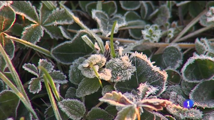 Panorama Regional - Panorama Regional 2 - 23/01/23