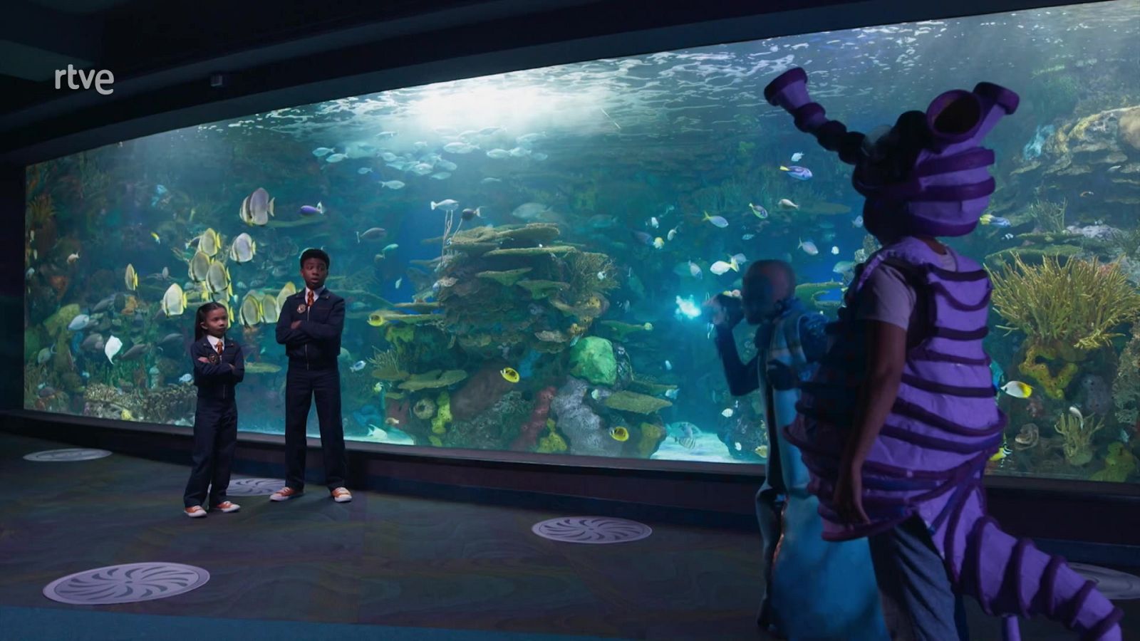 H2 oh no! - División O | Ver