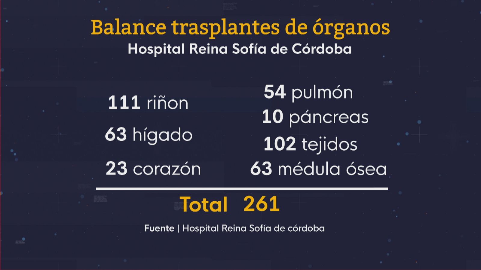 El Reina Sofía de Córdoba bate récords en 2022 - Ver ahora